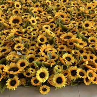 Sunflower Walls