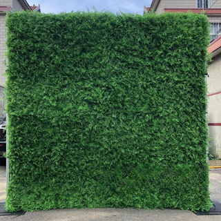 California Hedge Greenery Wall - 504