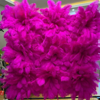 Premium Fuscia Feather Wall - 302