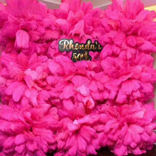 Premium Bright Pink Feather Wall - 304