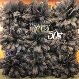 Premium Black Feather Wall - 301