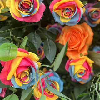 Ultimate Rainbow Rose Premium Flower Wall - 007