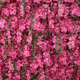 Hot Pink Dripping Dream Premium Flower Wall - 140