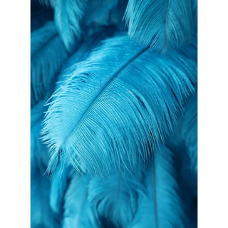 Pink & Blue Feather Wall - 311