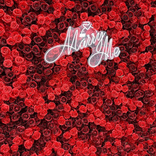 Deluxe Dark & Bright Red Rose Flower Wall - 027