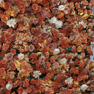 Orange Wild Rose Premium Flower Wall - 017