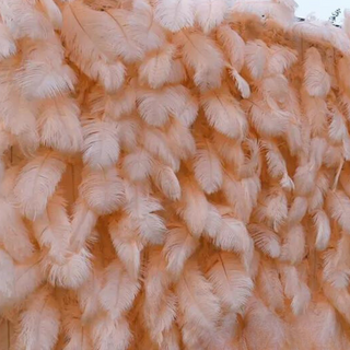 Peach  Feather Wall - 076