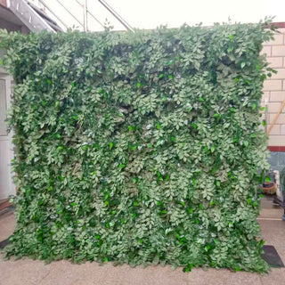 Hedge Greenery Wall - 999