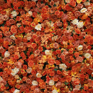 All Orange Premium Wild Rose Flower Wall - 195