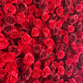 Deluxe Pure Red Wild Rose Flower Wall - 021