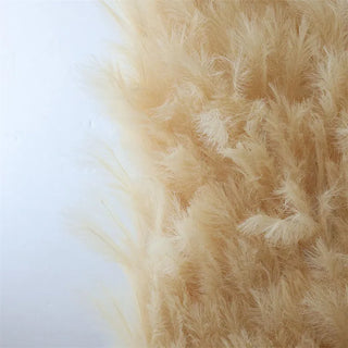 Pampas Grass Wall - 070