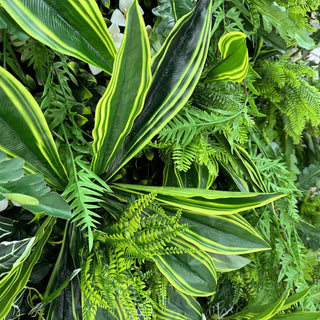 Tropical Rainforest Greenery Wall - 505