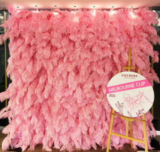 Pink Feather Wall - 074