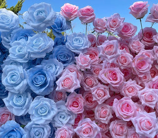 Pink & Blue Premium Rose Flower Wall - 107