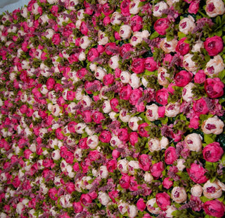 Light & Dark Pink Peony Flower Wall - 173