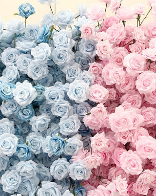 Pink & Blue Premium Rose Flower Wall - 107