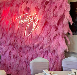 Pink Feather Wall - 074