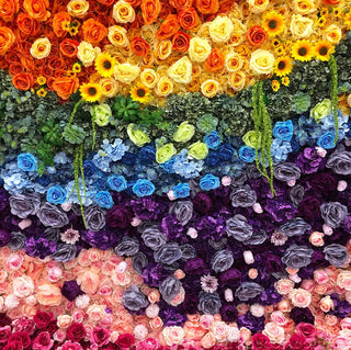 Rainbow Rose Premium Flower Wall - 100