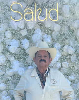 Baby's Breath White Rose Flower Wall - 060