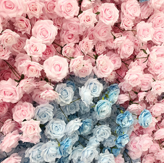 Pink & Blue Premium Rose Flower Wall - 107