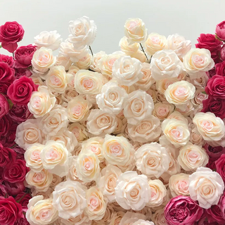 Pink & Red Cream Premium Rose Flower Wall - 106