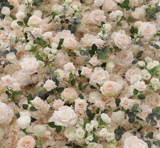 Blush Cream Premium Rose Flower Wall - 161