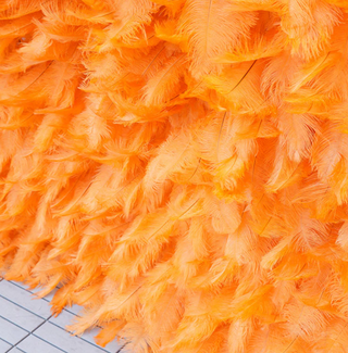 Orange Feather Wall - 082